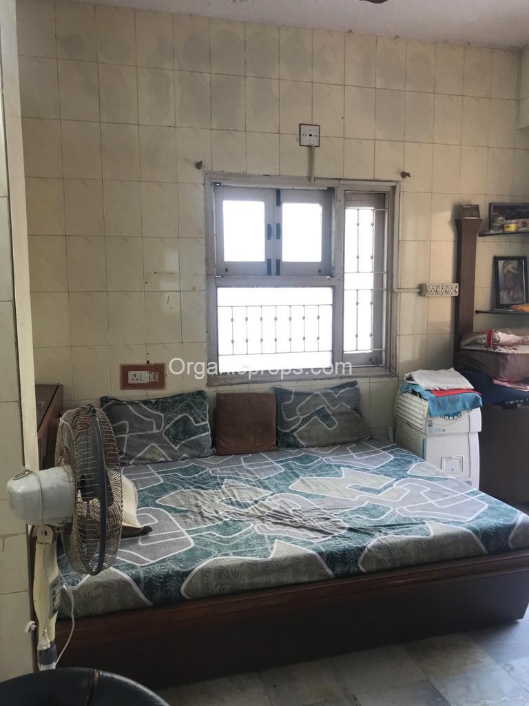 WhatsApp Image 2023-12-11 at 620231211182820373.jpeg